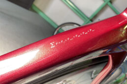 サムのダウンチューブの飾り