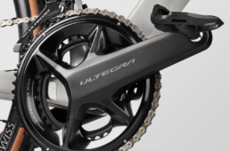 キャニオン・エンデュレース CF SL