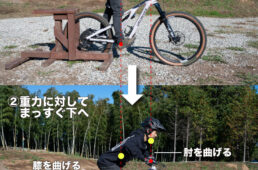 レディポジション