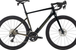 シナプスカーボンLTD RLE