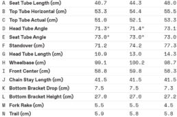 シナプスのジオメトリー表