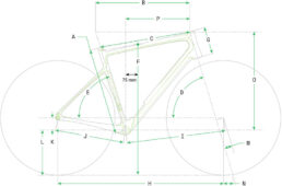 シナプスのジオメトリー