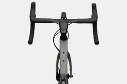 シナプスを上から