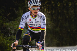 クイックステップ アルファヴィニル2022