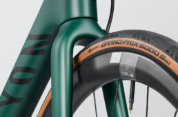 キャニオン・エンデュレース CF SL