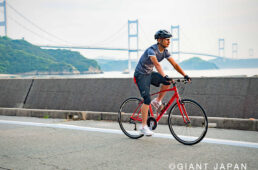 大島の海沿いルート