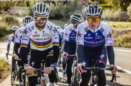 クイックステップ アルファヴィニル2022