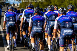 クイックステップ アルファヴィニル2022