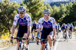 クイックステップ アルファヴィニル2022