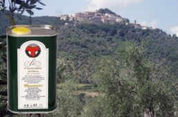 トマジーニの2021新物オリーブオイル「ノヴェッロ」