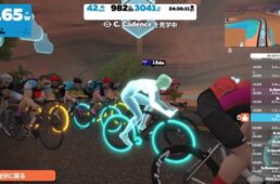 ズイフトのペースパートナー