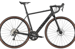 キャニオン・エンデュレース AL