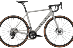 キャニオン・エンデュレース CF SL