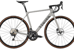 キャニオン・エンデュレース CF SL