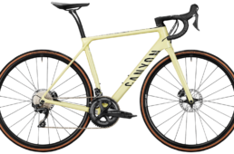 キャニオン・エンデュレース CF SL