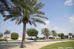 ＵＡＥ・ツアー2022