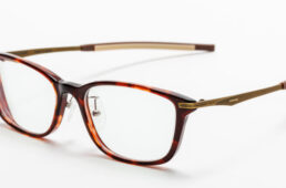 スワンズ・ジョブスポルトベータ