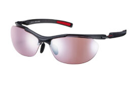 スワンズ・エアレスコア