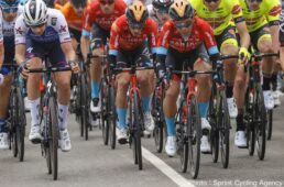 新城幸也　バレンシアナ2022