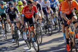 新城幸也　バレンシア2022