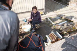 白鳥の町で出会った女性