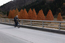 九頭竜湖への一本道