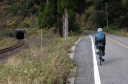 一乗谷に向けて走る