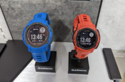 インスティンクト2