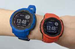 インスティンクト2