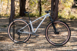 ハードテールバイクの一例