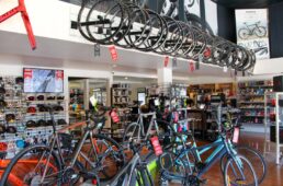 B2GCブリスベンゴールドコースト2019