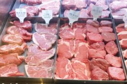 B2GCブリスベンゴールドコースト2019