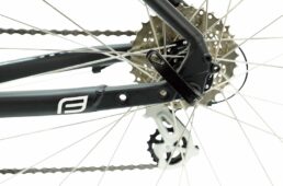 FORCE モラヴィア