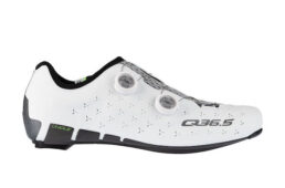 Q36.5　ユニークシューズ