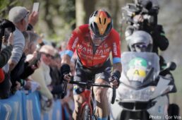 新城幸也　ヘント～ウェヴェルヘム2022