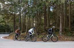 テストコース上の峠道
