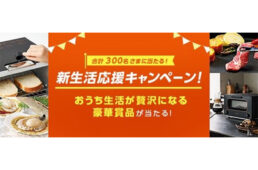au損保　新生活応援キャンペーン