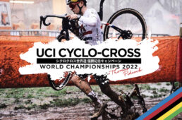 チャレンジ・ハンドメイドチューブレスレディ