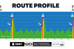 2022eスポーツ世界選手権のプロフィール