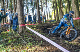 ろまんちっく村の林間トレイル