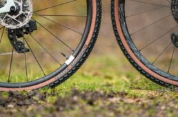 ハッチンソン・ツンドラ