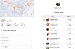 セグメント機能