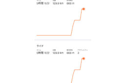 月間アクティビティ