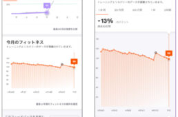 ストラバの今月のフィットネス