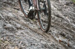 ハッチンソン・ツンドラ