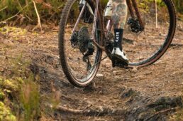 ハッチンソン・ツンドラ