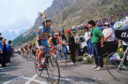 市川雅敏×ピークス・コーチング・グループ