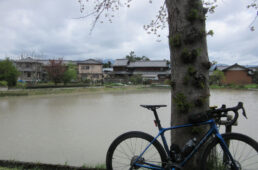 大人のビワイチ一日目