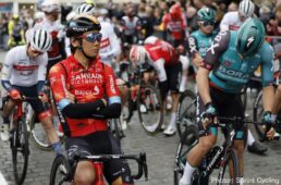 新城幸也　ブラバンツ・ペイル2022