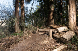 最初は安全で小さめなドロップオフを使って練習する